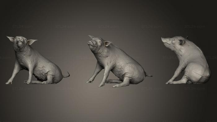 Статуэтки животных (кабан, STKJ_0383) 3D модель для ЧПУ станка